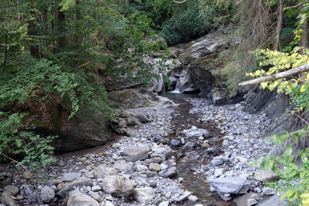 森林河在山