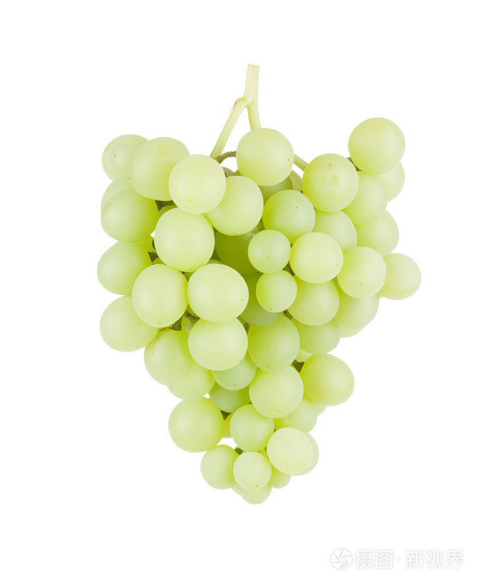 群的白葡萄品种