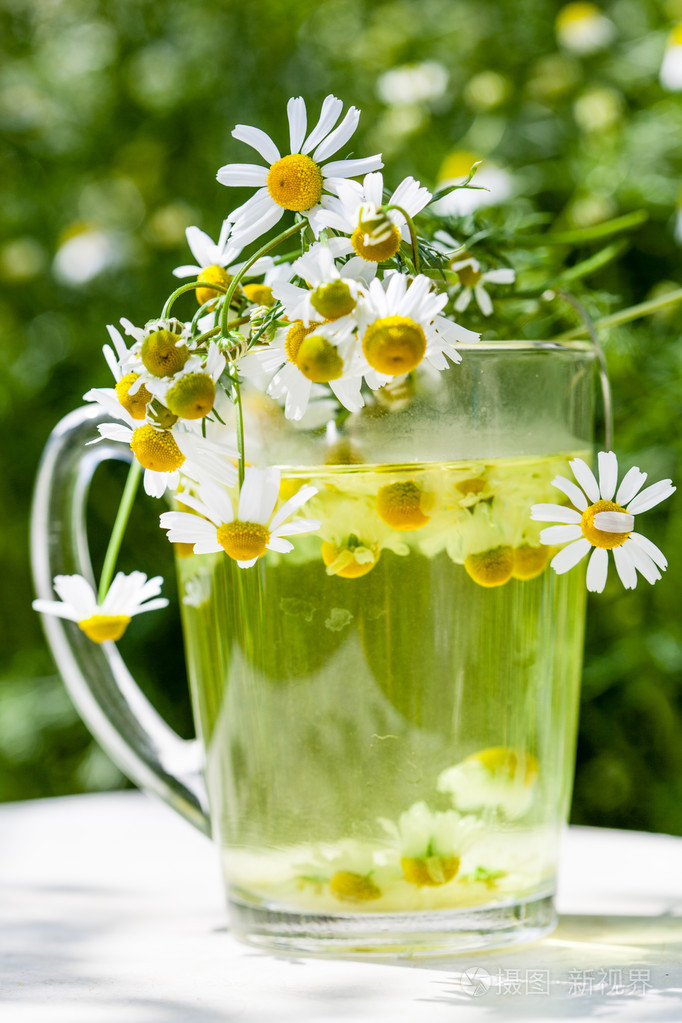 洋甘菊茶在杯中