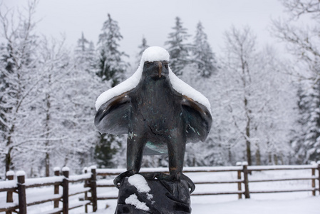 美国之鹰铜雕像被雪覆盖着