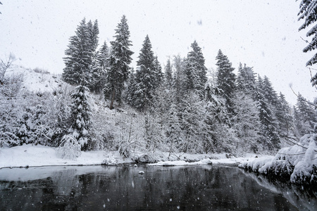 在降雪冬季景观河