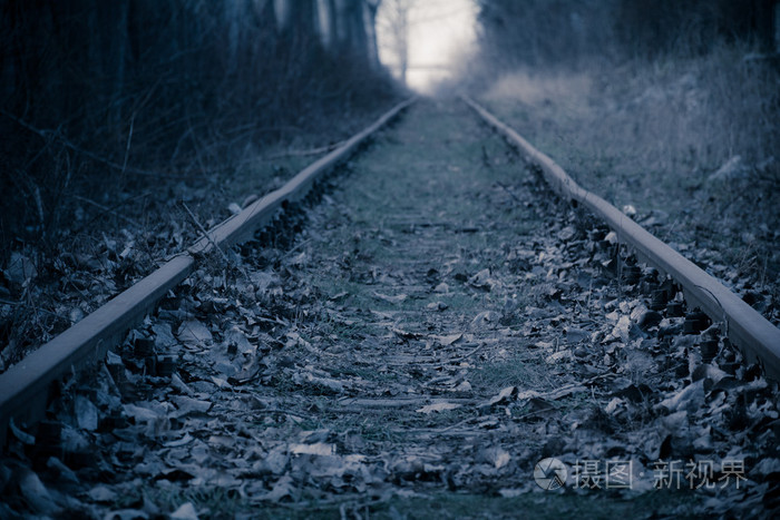 冬季日落时森林小巷中的铁路