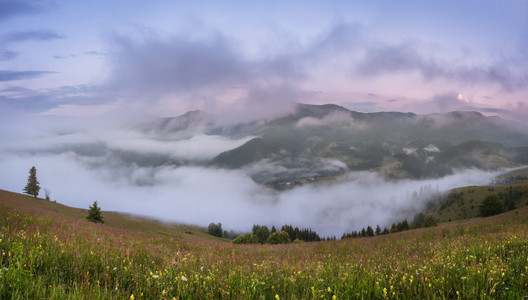 喀尔巴阡山脉。雾谷的全景