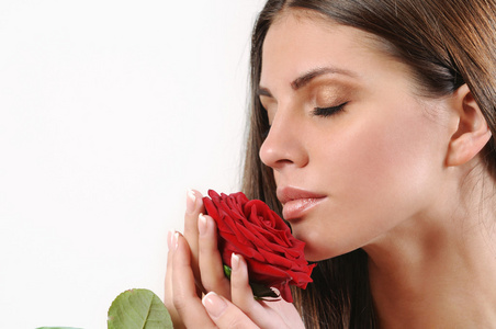 白色背景上可爱美丽的女人味红玫瑰