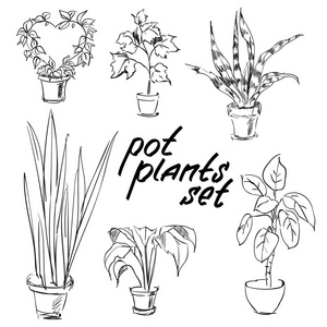 盆栽植物设置.手绘设计元素照片