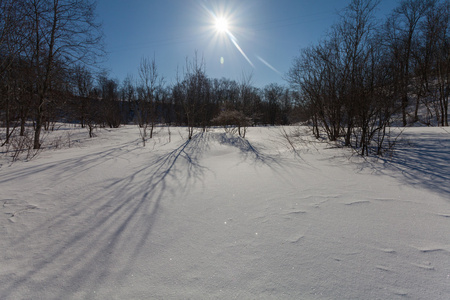 有雪和阴影的冬季公园