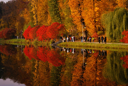 美丽的秋天公园树木与湖
