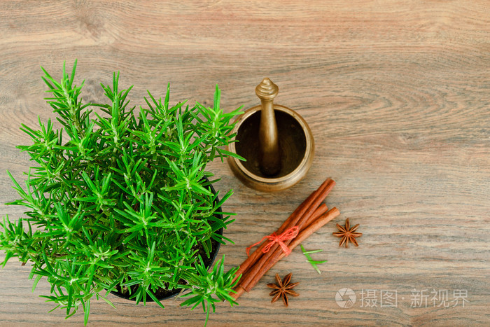 新鲜的龙蒿香料孤立在木头上