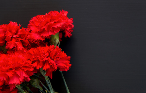 几个红色的康乃馨，在黑色背景上的静物