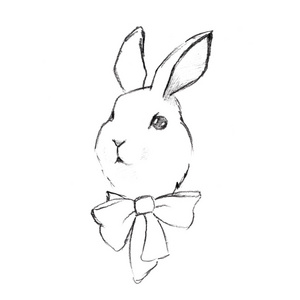 兔铅笔素描 1摄影图