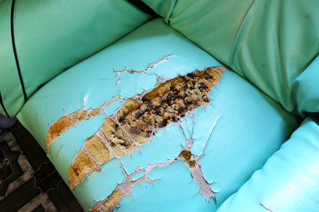 室内破沙发照片