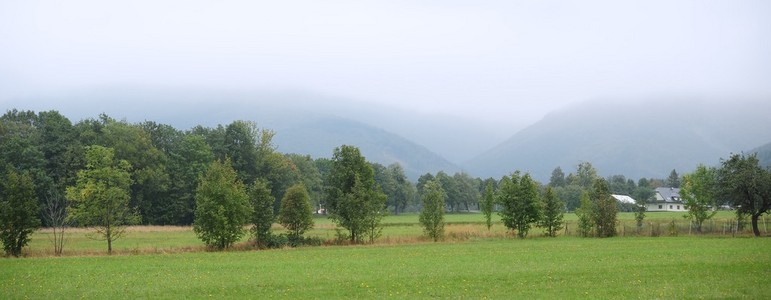 在雾中风景