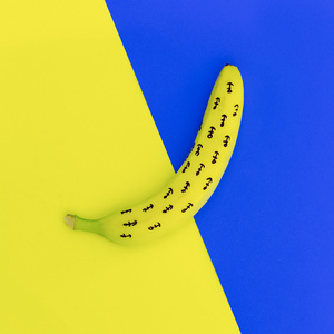 香蕉打印的锚。最小的风格设计