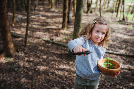 儿童女孩在早春，探索自然看着第一芽苗菜用放大镜。教孩子们爱自然