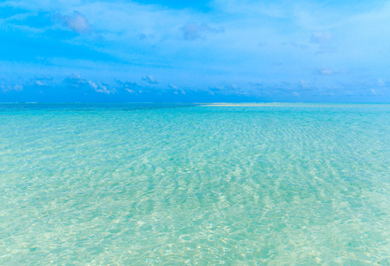 海滩和热带海