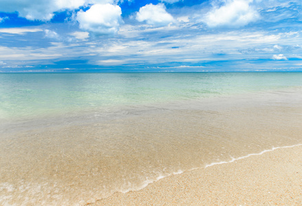 海滩和热带海