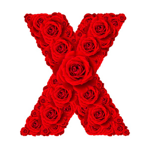 红大写字母玫瑰字母集-字母大写字母 x 由红玫瑰照片