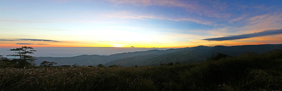 早上阳光掠过雾森林国家公园，泰国