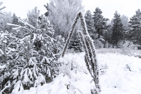 被雪覆盖的冷冻植物树木和田野