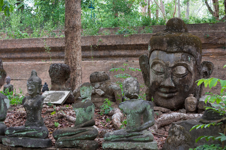 在梧 清迈 旅游泰国寺佛像