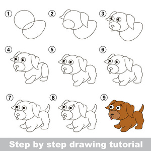 绘图的教程。如何画一只小狗