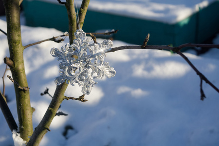 在雪上的银雪花