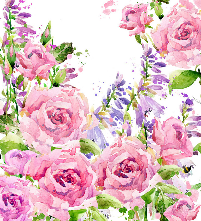 水彩玫瑰插图. 水