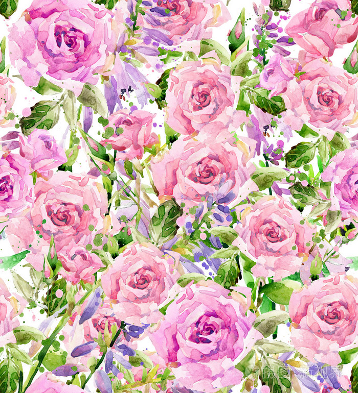 水彩花园花. 水彩玫瑰插图. 水