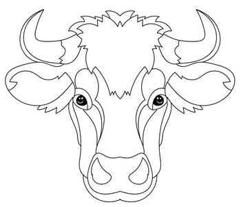 牛涂鸦手画的涂鸦大纲牛头照片