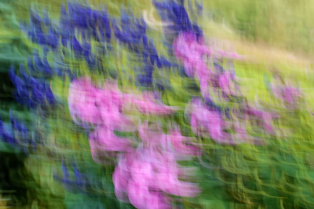 抽象的蓝色和紫色的花