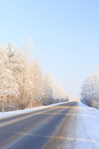 冬天的路穿过雪域森林