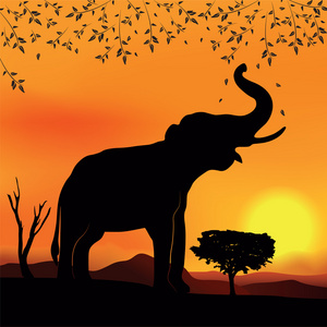 非洲景观与大象和树