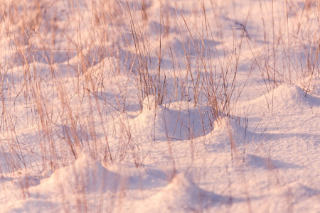 冬天多雪的草地