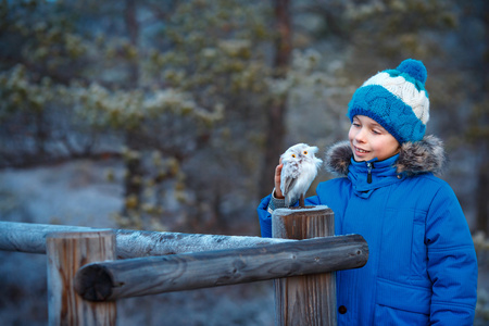 可爱的男孩，与猫头鹰玩具在冬季森林的肩上