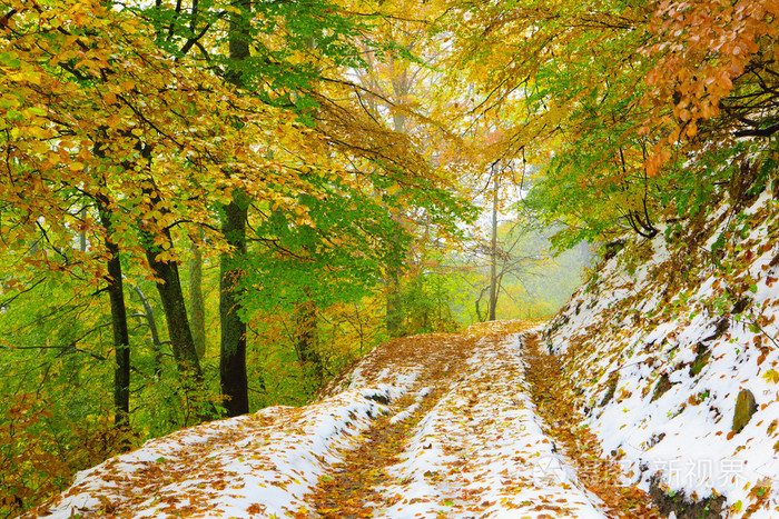 秋天的树林和雪