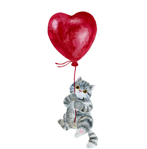 灰色的小猫，气球在白色背景上分离出的一颗心的形状