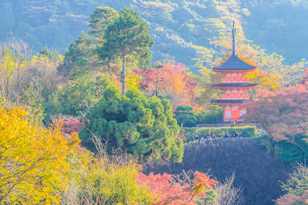 金秋时节清水德拉寺