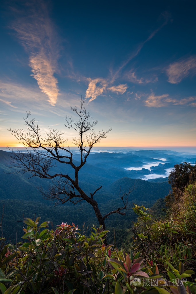 山上美丽的日出