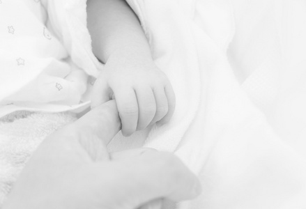 刚出生的婴儿，握着母亲的手