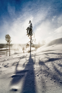 滑雪胜地太阳谷