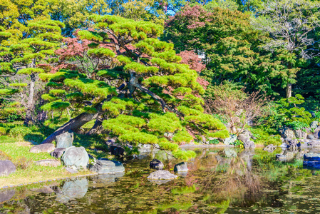 在公园在皇宫花园