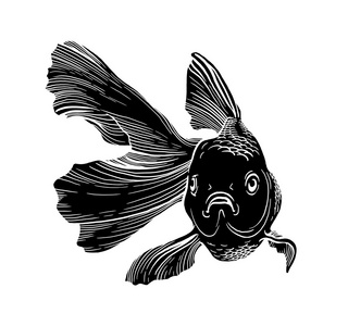 金鱼图图稿线水下雕刻黑色和白色照片