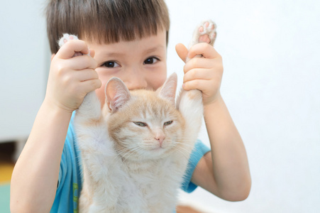 男孩拿着懒惰的姜猫的前腿