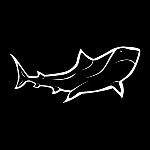 鲨鱼的黑色剪影图片