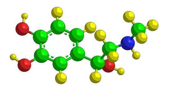 肾上腺素肾上腺素的分子结构