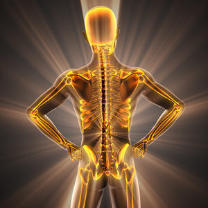 人体骨骼放射扫描图像照片