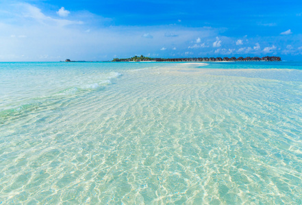 海滩和热带海