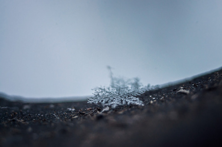 地上的雪花