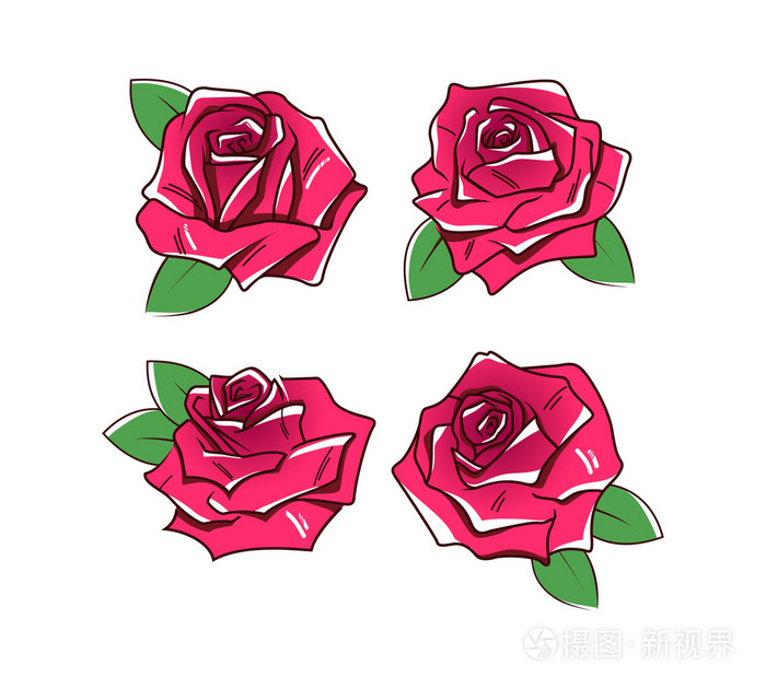 玫瑰画矢量图.设计要素的蔷薇花
