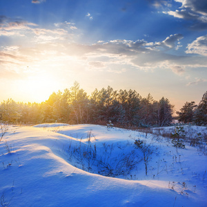 落日和国米大雪森林